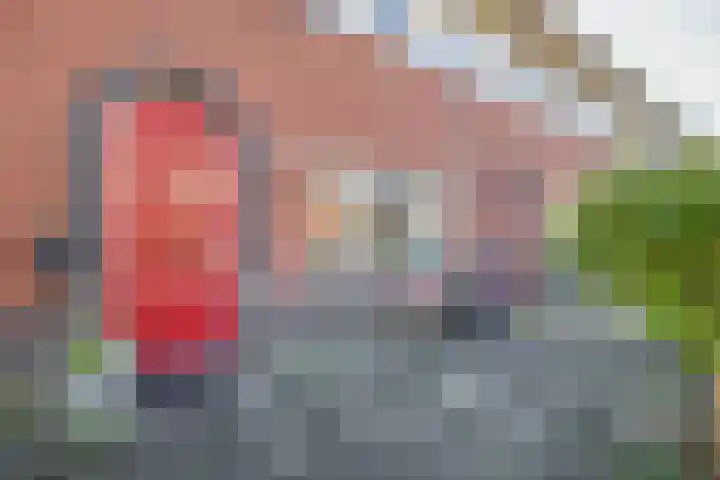 Punter 7 Meppel thumbnail 5