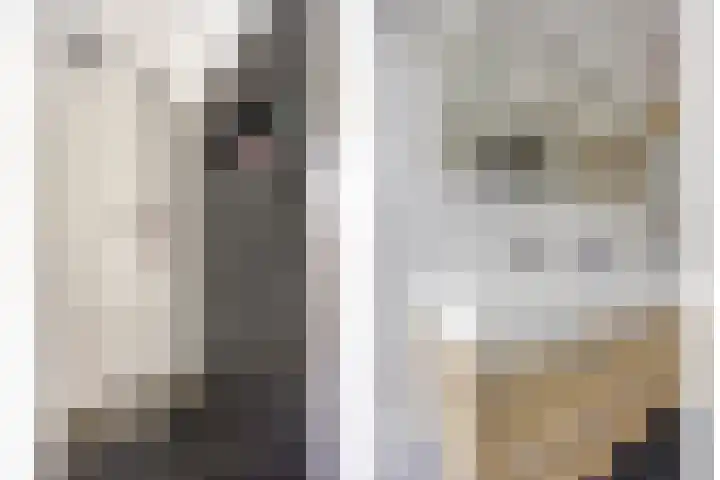 Puoldyk 27 A Dronryp thumbnail 31