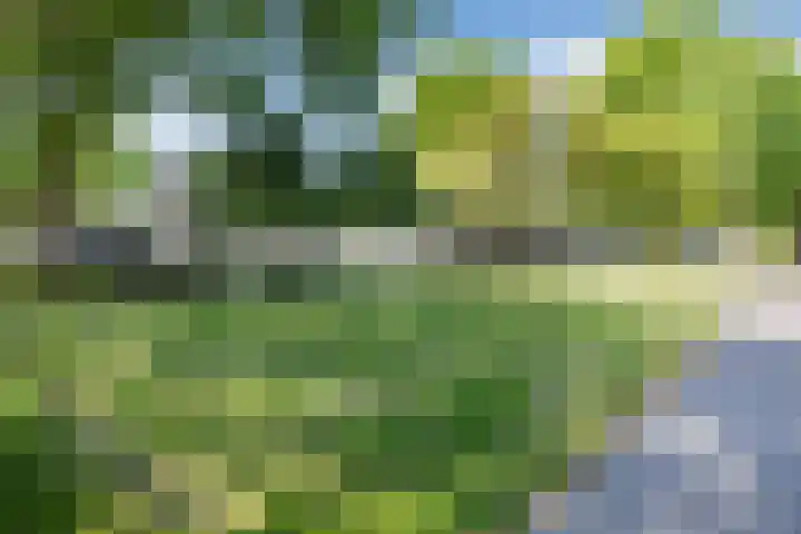 Purcelldreef 20 Tilburg thumbnail 27