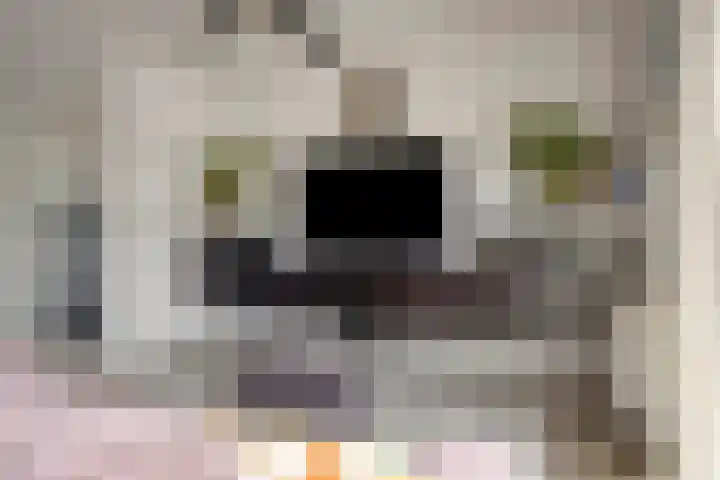 Purmer 20 Emmeloord thumbnail 11