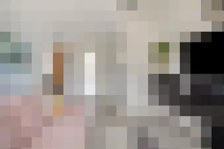 Purmer 20 Emmeloord thumbnail 12