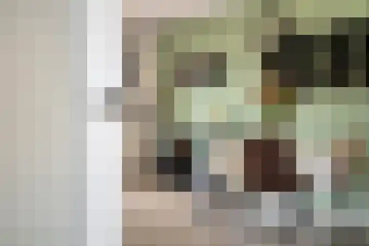 Purmer 20 Emmeloord thumbnail 7