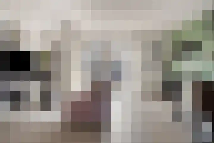 Purmer 20 Emmeloord thumbnail 9