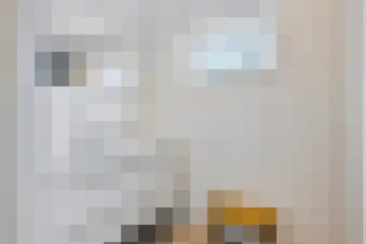 Purmerenderweg 22 Purmerend thumbnail 38