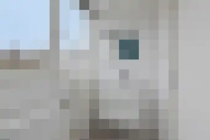 Purmerenderweg 22 Purmerend thumbnail 44