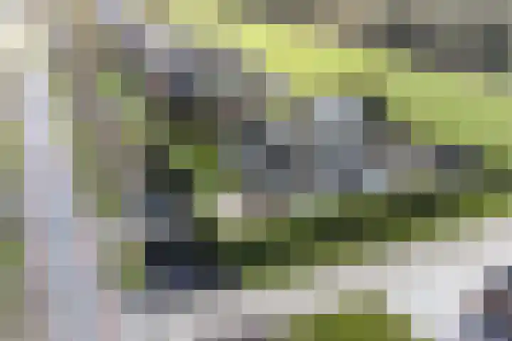 Purmerenderweg 22 Purmerend thumbnail 6