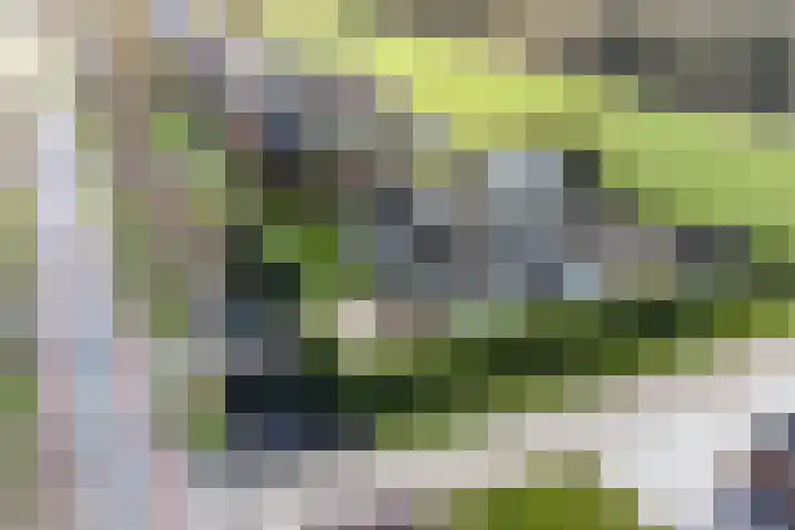 Purmerenderweg 22 Purmerend thumbnail 80