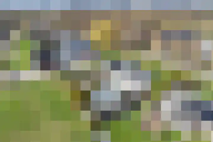 Purmerenderweg 22 Purmerend thumbnail 87