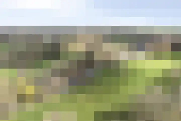 Purmerenderweg 22 Purmerend thumbnail 88