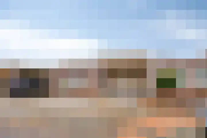 Purperbeer 29 in Oss