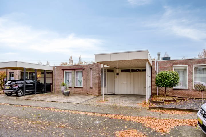 Purperbeer 29 in Oss foto