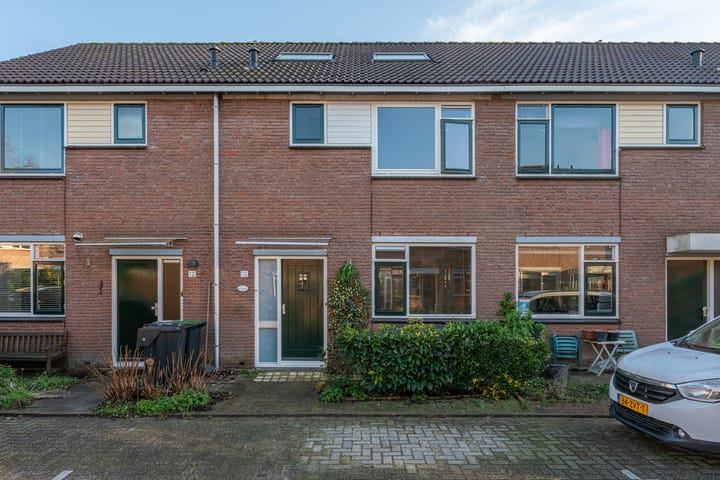 Purperforel 10 in Leiden foto