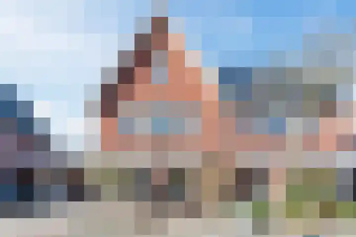 Purperhei 8 Best
