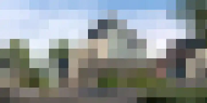 Purperorchidee 9 Lelystad thumbnail 7