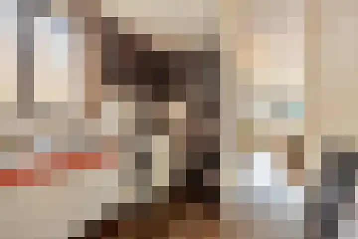 Purperwier 7 Leiden thumbnail 12