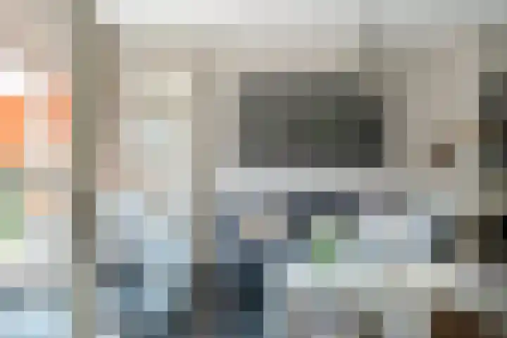 Purperwier 7 Leiden thumbnail 16