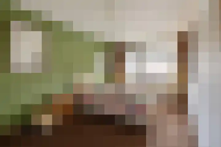 Purperwier 7 Leiden thumbnail 16