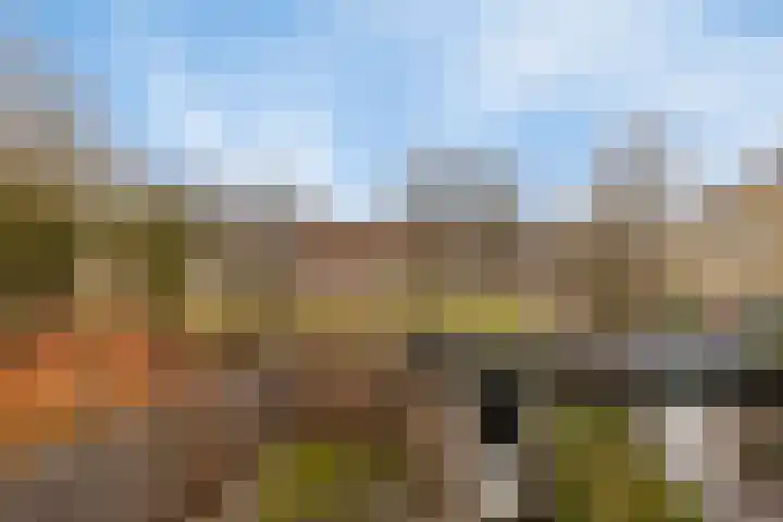 Purperwier 7 Leiden thumbnail 19