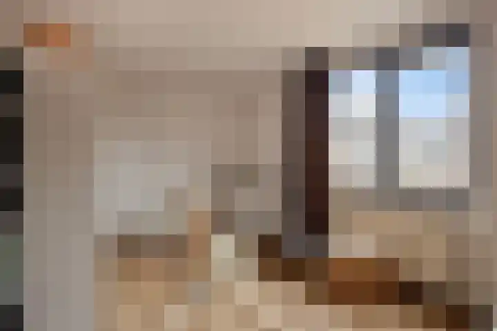 Purperwier 7 Leiden thumbnail 23