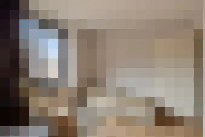 Purperwier 7 Leiden thumbnail 24