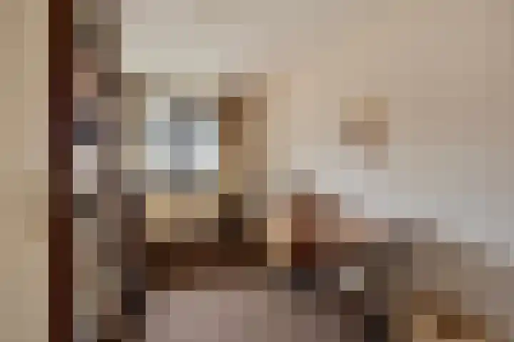 Purperwier 7 Leiden thumbnail 25