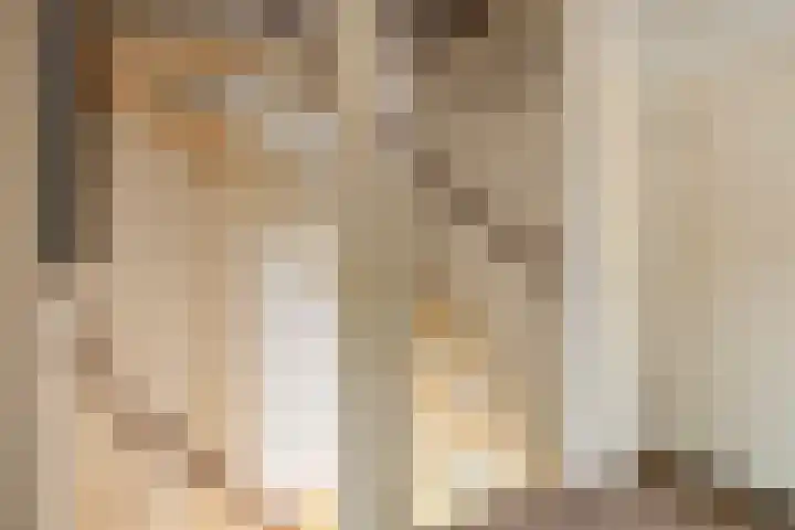 Purperwier 7 Leiden thumbnail 27