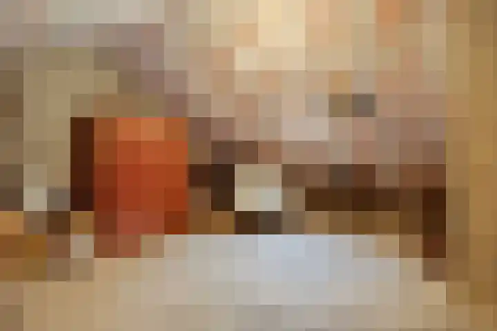 Purperwier 7 Leiden thumbnail 28
