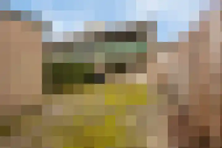 Purperwier 7 Leiden thumbnail 33