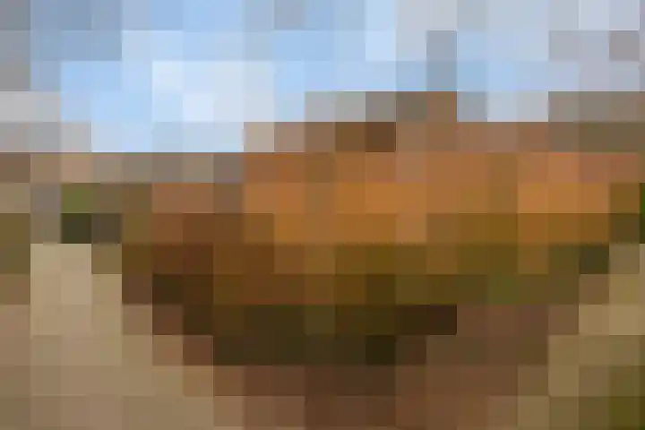 Purperwier 7 Leiden thumbnail 34