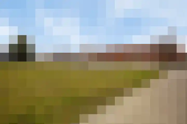 Purperwier 7 Leiden thumbnail 35