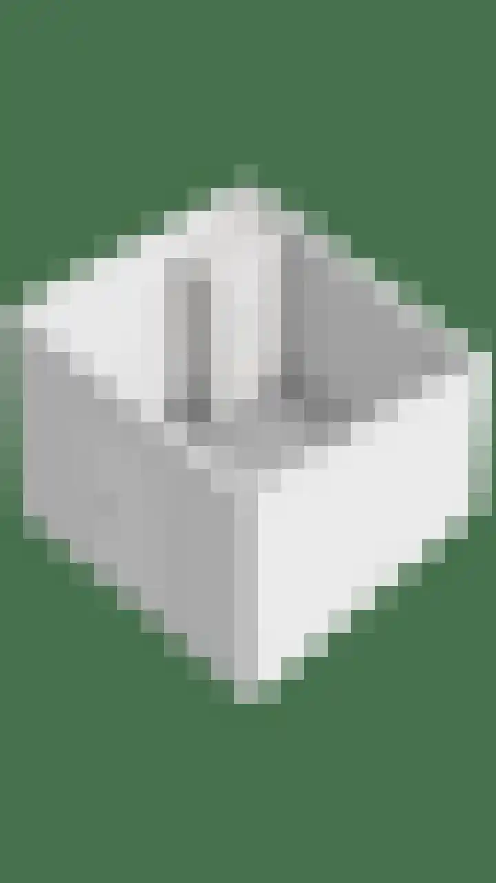 Purperwier 7 Leiden thumbnail 43