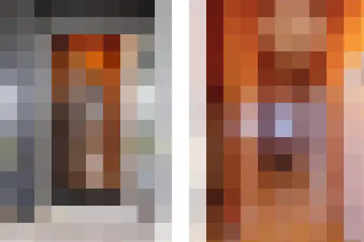 Purperwier 7 Leiden thumbnail 7