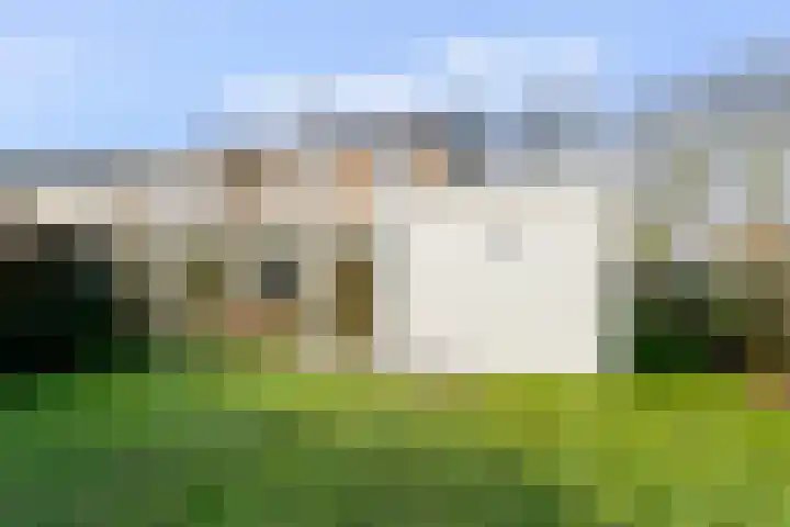Putakker 9 Boxtel thumbnail 41