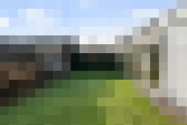 Putakker 9 Boxtel thumbnail 42