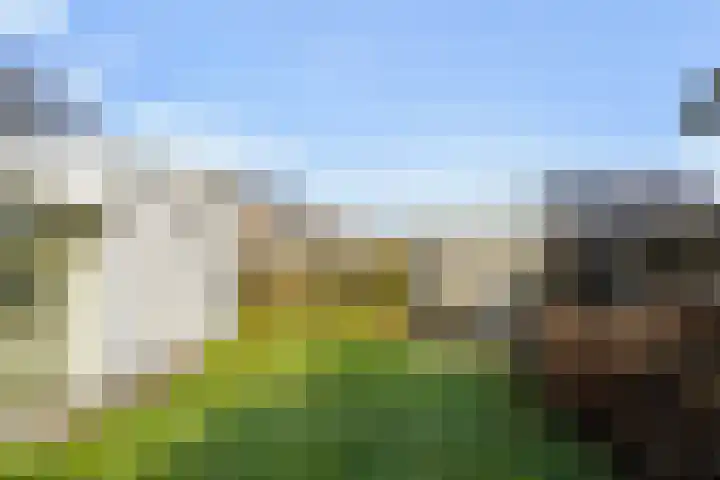 Putakker 9 Boxtel thumbnail 44