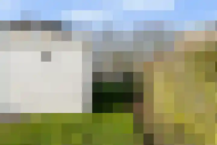 Putakker 9 Boxtel thumbnail 45