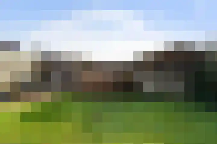 Putakker 9 Boxtel thumbnail 46