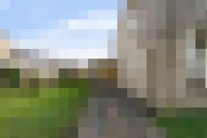 Putakker 9 Boxtel thumbnail 5