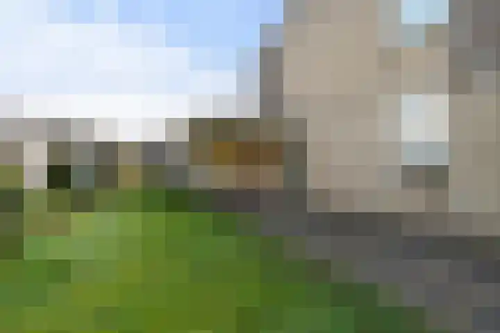 Putakker 9 Boxtel thumbnail 6