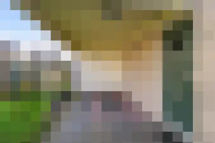 Putakker 9 Boxtel thumbnail 7