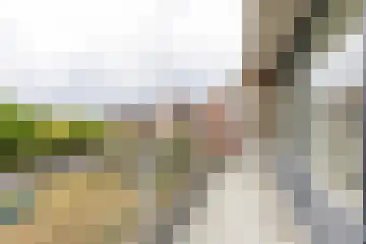 Putgraaf 156 Heerlen thumbnail 7