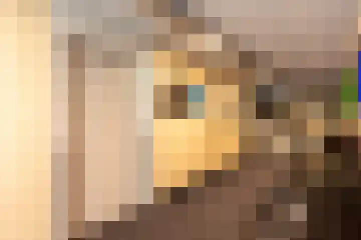 Putgraaf 207 Heerlen thumbnail 15