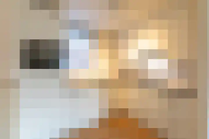 Putgraaf 207 Heerlen thumbnail 5