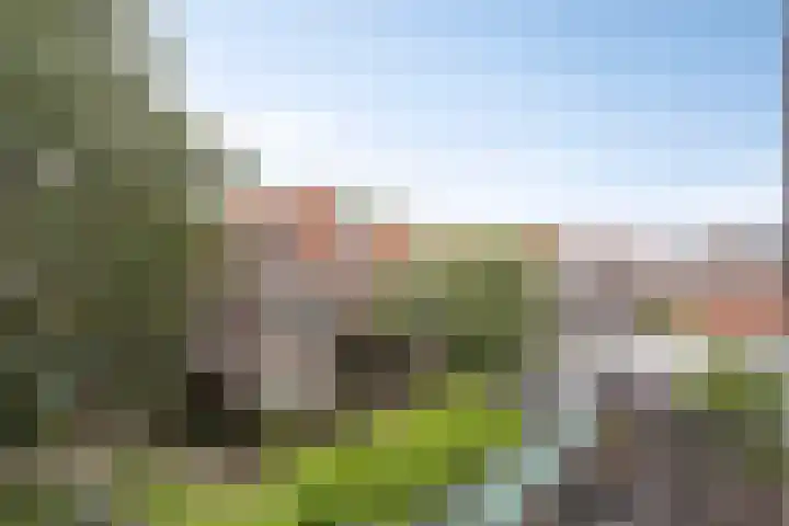 Putgraaf 277 Heerlen thumbnail 8