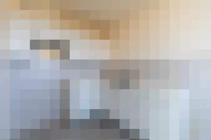 Putgraaf 307 Heerlen thumbnail 6