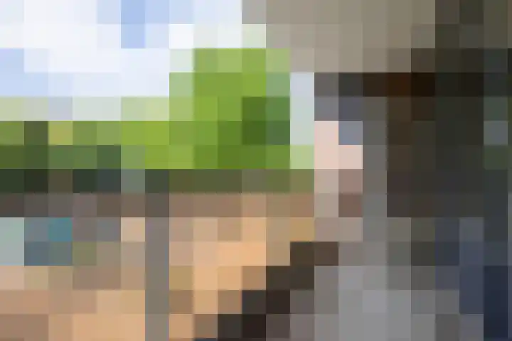 Putgraaf 44 Heerlen thumbnail 8