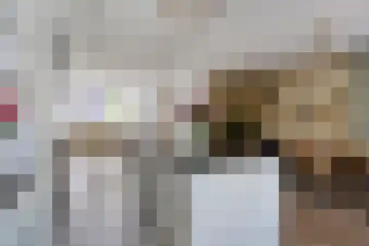Puthof 29 Eindhoven thumbnail 12