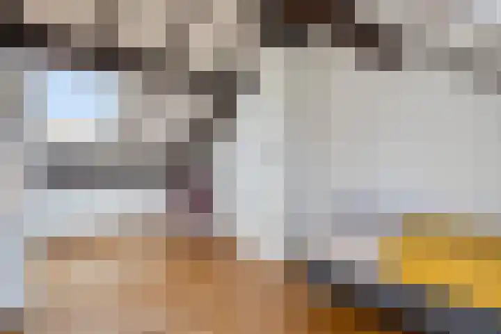 Puthof 29 Eindhoven thumbnail 28