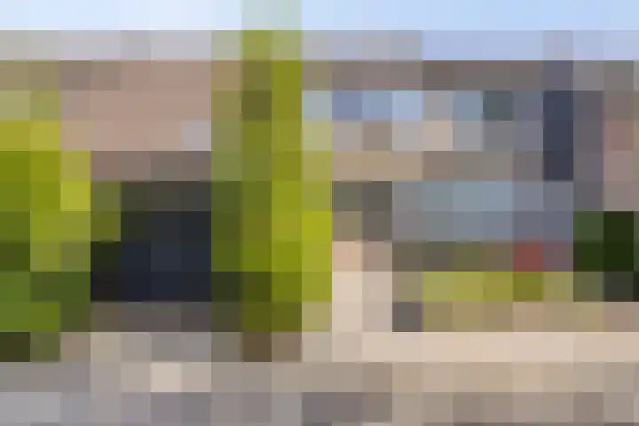 Puthof 29 Eindhoven thumbnail 36