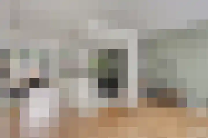 Puthof 29 Eindhoven thumbnail 5